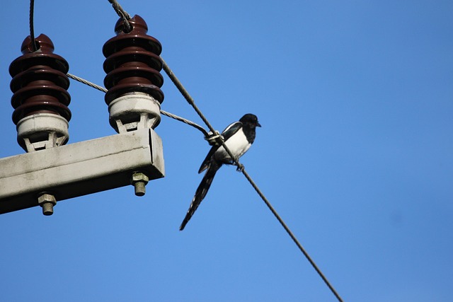 fixture supply line