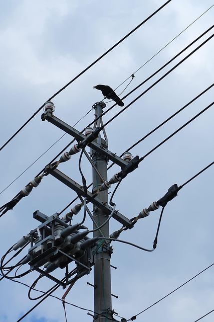 fixture-supply-line-640x480-93636951.jpeg