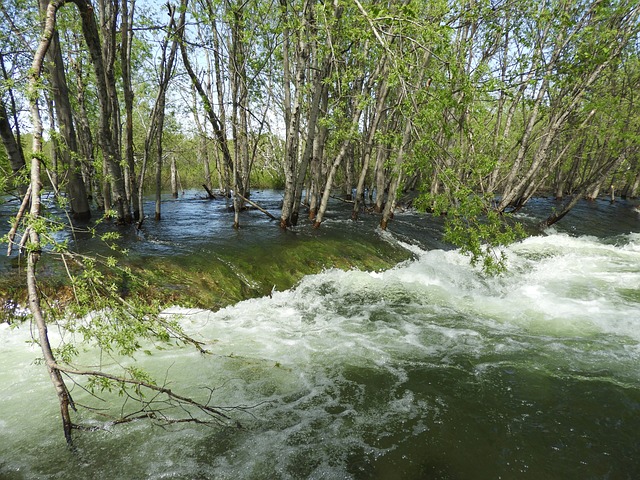flood-cleanup-plumbing-640x480-29333243.jpeg