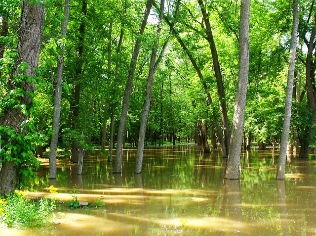 flood cleanup plumbing
