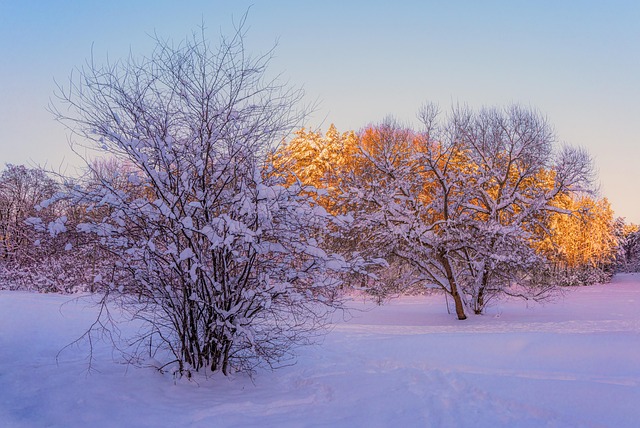 frozen-pipe-emergency-640x480-46653302.jpeg