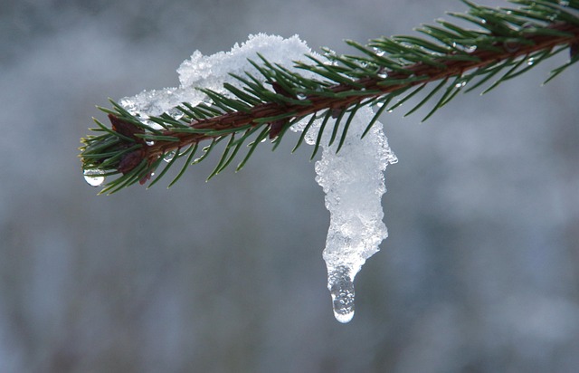 frozen-pipe-thawing-640x480-85202725.jpeg