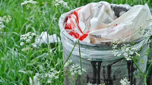 garbage disposal maintenance