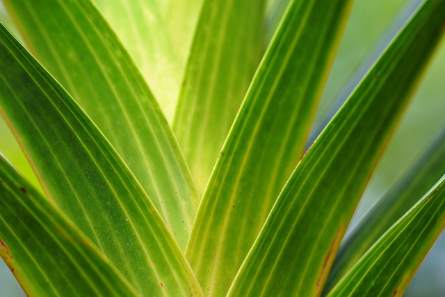 green-plumbing-640x480-2204390.jpeg