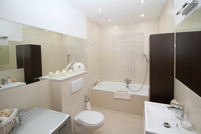 high efficiency toilet