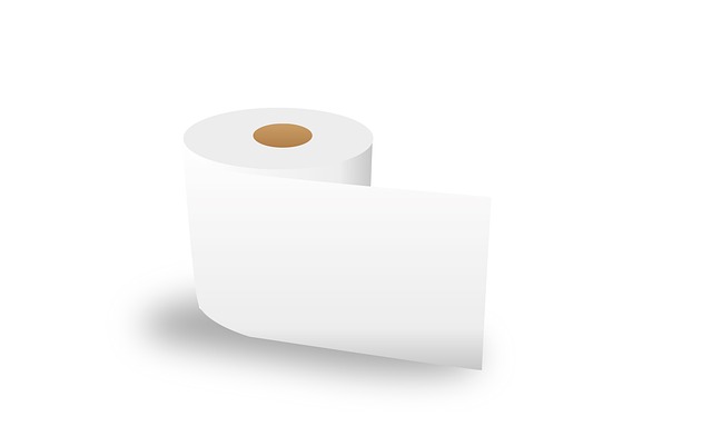 kohler toilet