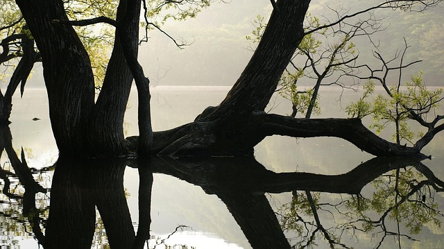 main water line