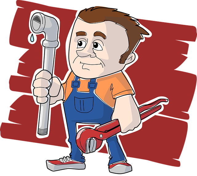 master plumbers