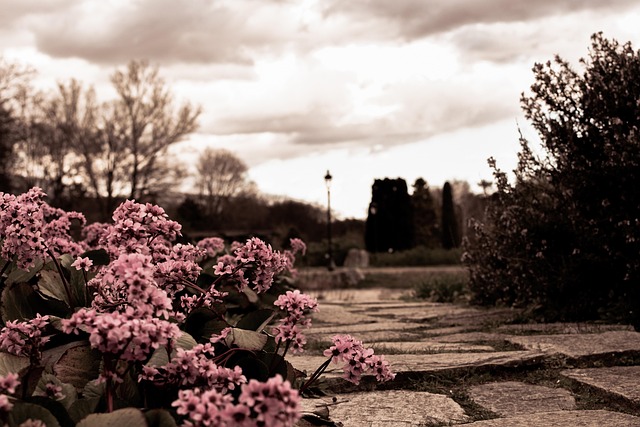 natural-stone-paving-640x480-59274029.jpeg