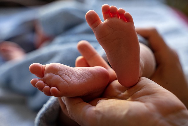 parental-rights-attorney-640x480-65776217.jpeg