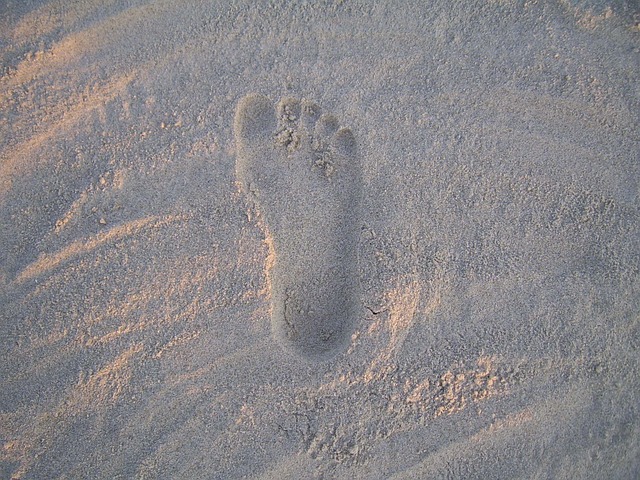 pavement marking