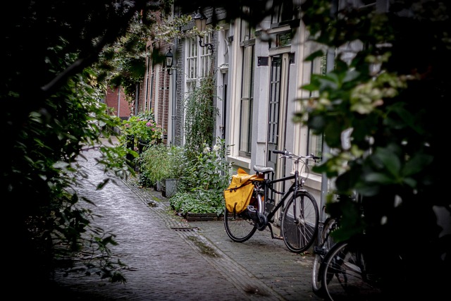 pavement marking