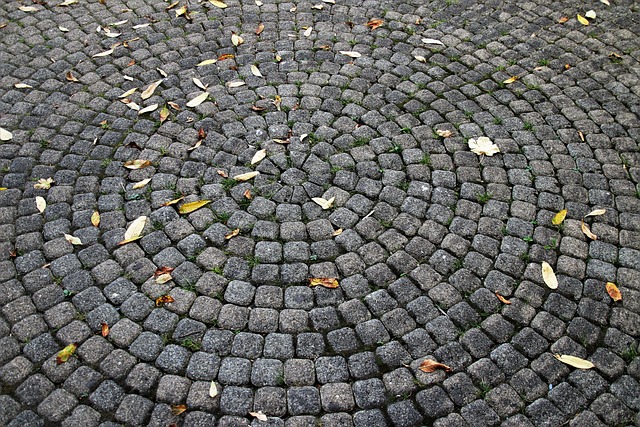 paver stone contractors