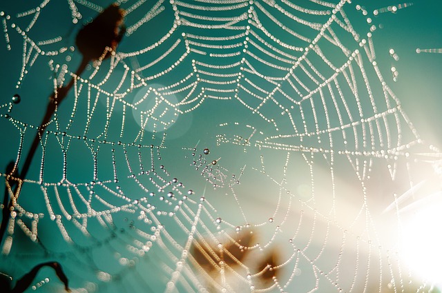 pennsylvania web design