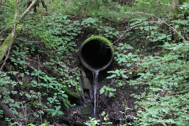 pipe lining