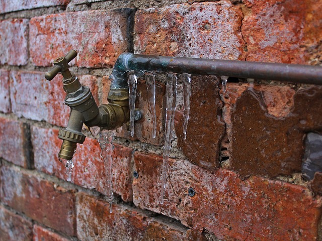 pipe winterization