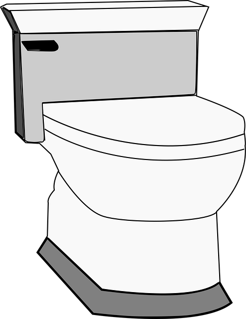 plumbing experts