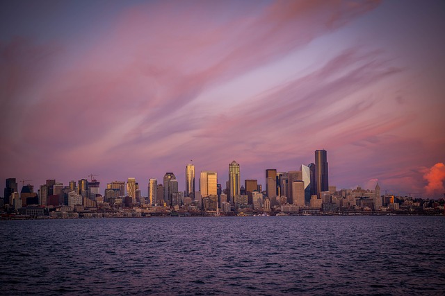 plumbing seattle wa