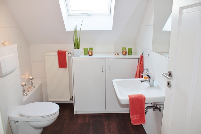 portland plumbing