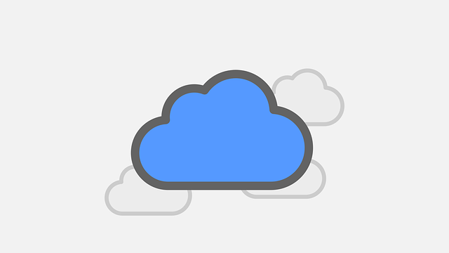 ppc services