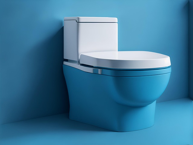 professional toilet service