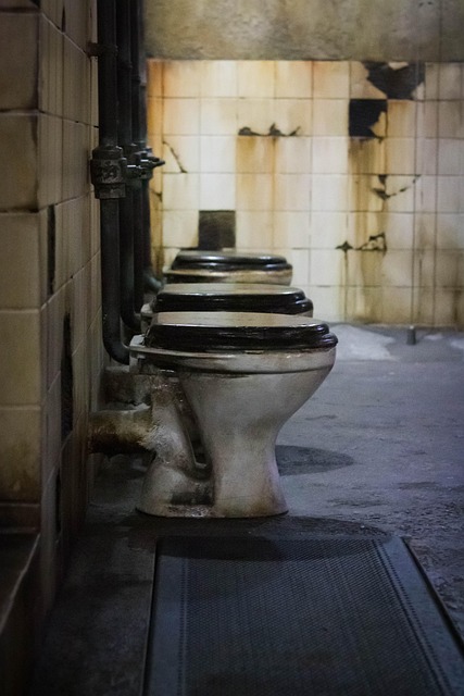 professional toilet service