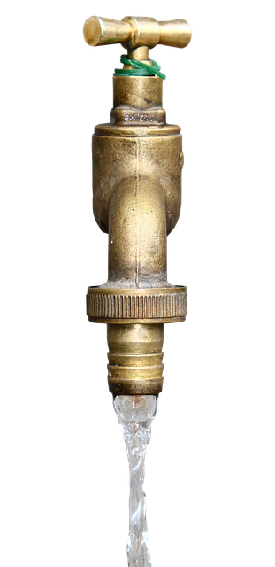 pull out faucet