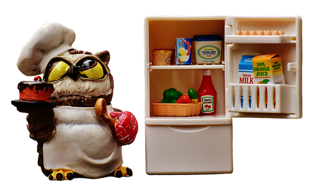 refrigerator-water-line-640x480-11661269.png