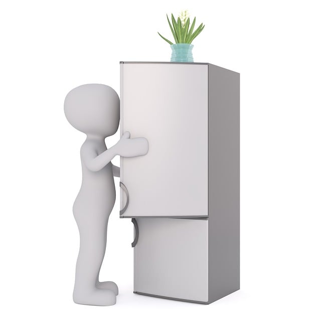 refrigerator water line
