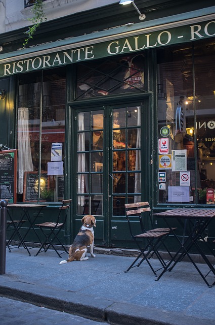 restaurant-plumbing-640x480-72386875.jpeg