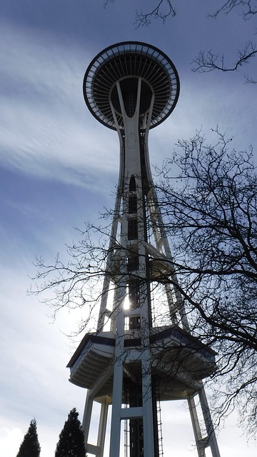 seattle drain cleaning