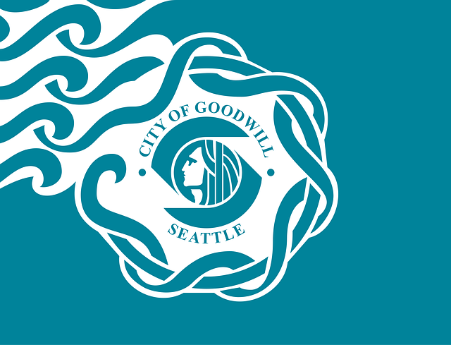 seattle drain cleaning