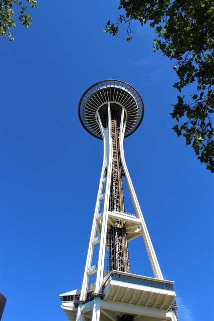 seattle emergency plumber