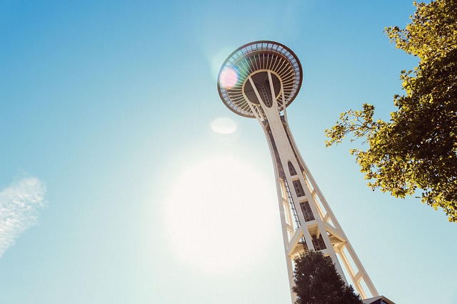 seattle emergency plumber