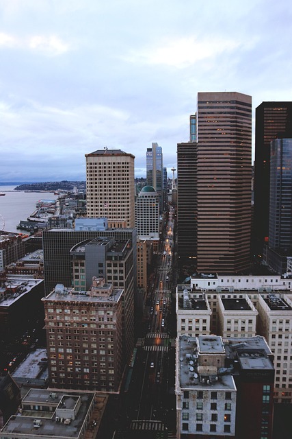 seattle leak detection