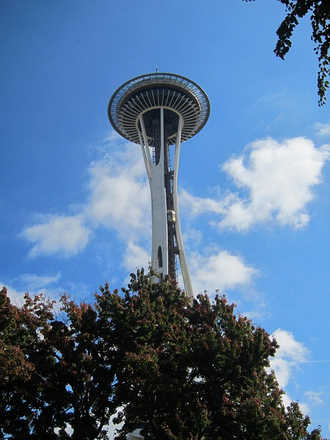seattle leak detection