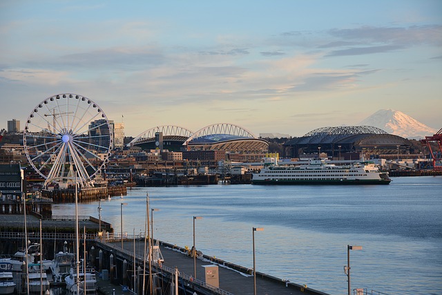 seattle plumbing
