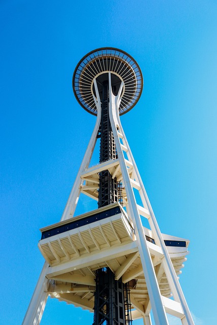 seattle plumbing