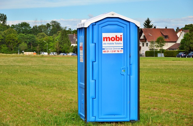 seattle toilet repair