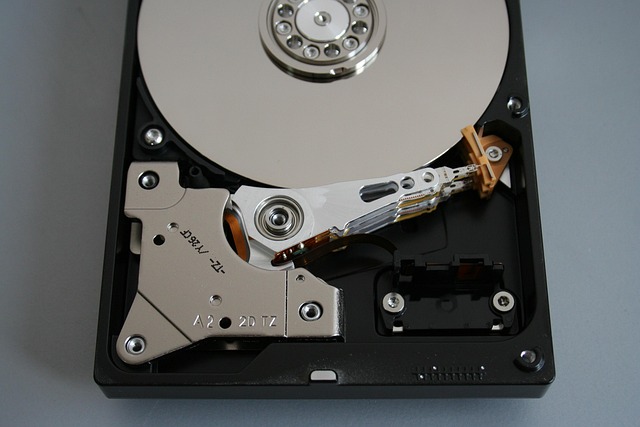 sewer-backup-640x480-32965359.jpeg