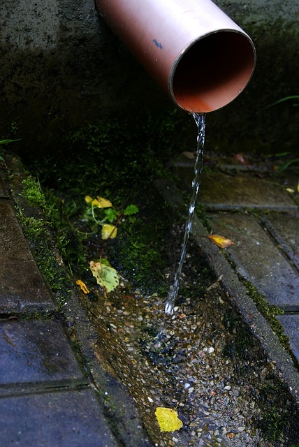 sewer permit