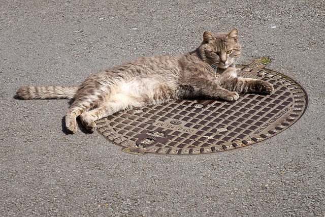 sewer permit