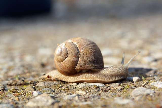 slow-drain-640x480-33409251.jpeg