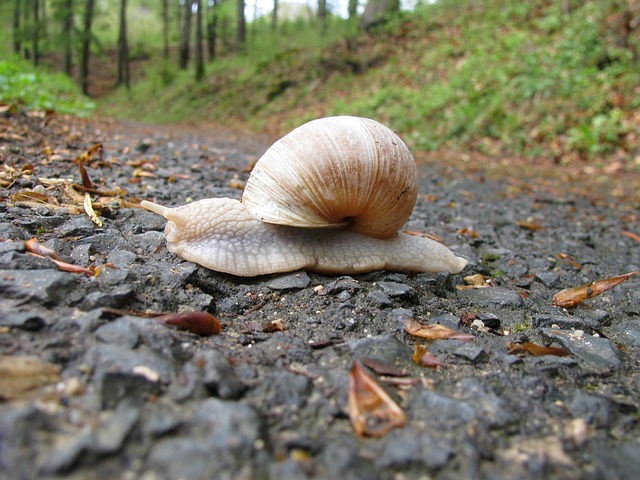 slow drain