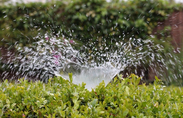 sprinkler leak repair