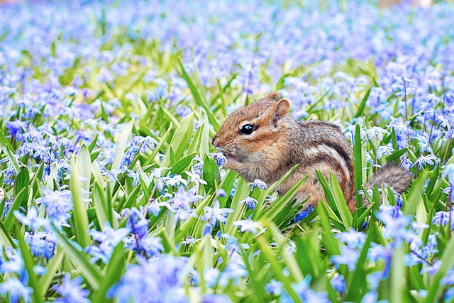 squirrel-hill-plumbing-640x480-20815643.jpeg