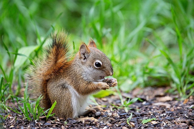 squirrel-hill-plumbing-640x480-27063542.jpeg