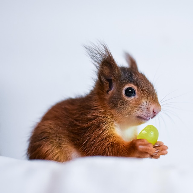 squirrel-hill-plumbing-640x480-28643253.jpeg
