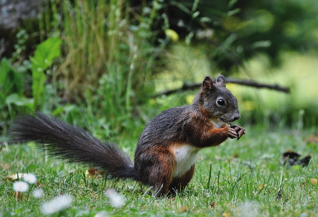 squirrel-hill-plumbing-640x480-31767322.jpeg