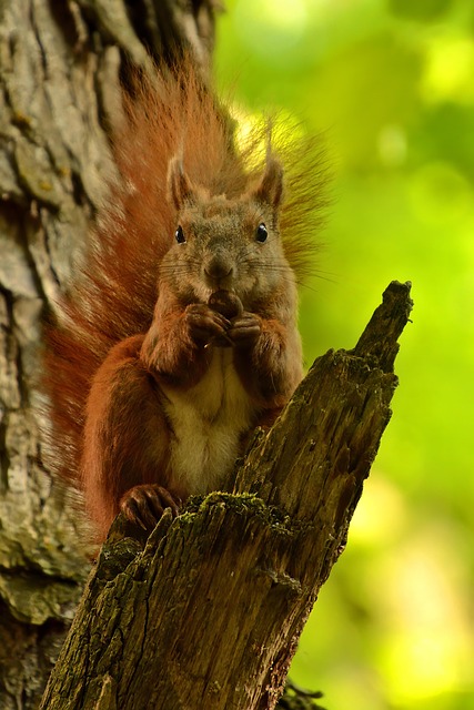 squirrel-hill-plumbing-640x480-36490324.jpeg